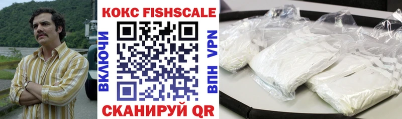 Кокаин FishScale  сколько стоит  mega зеркало  Порхов 