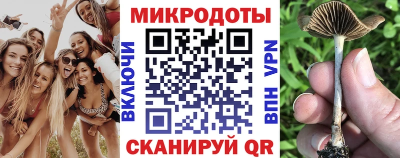Псилоцибиновые грибы Psilocybine cubensis  наркошоп  Порхов 